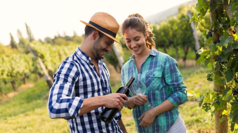 Rota dos Vinhos nordestina é passeio pela cultura e gastronomia regionais