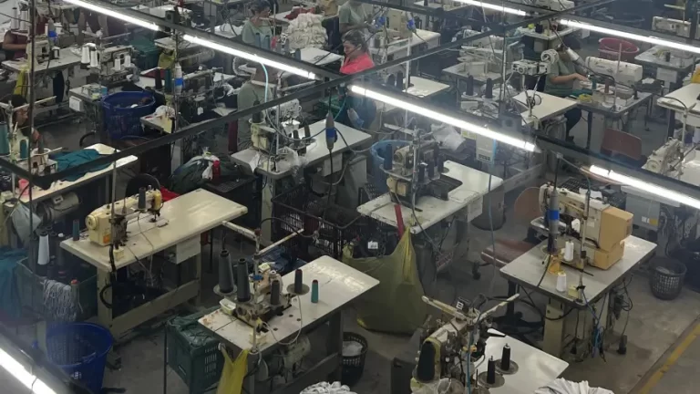 Legado: Greenish celebra 32 anos de mercado
