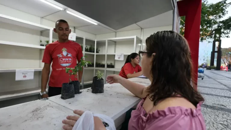 Ceará Natal de Luz: campanha ambiental é destaque da 28ª Edição