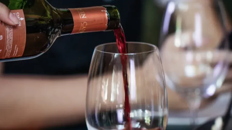 Rolha Free e carta com desconto: restaurantes Vignoli oferecem dias especiais na semana para os amantes de vinho