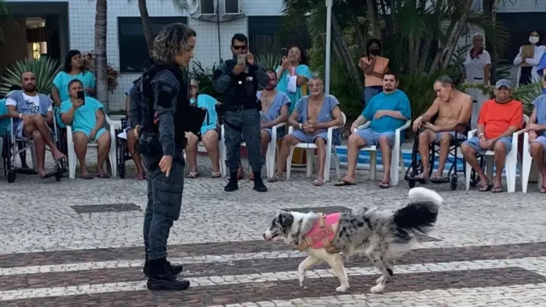 Casa de Cuidados do Ceará recebe ação social com cães policiais do Grupo de Ações Penitenciárias