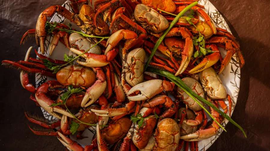 Gastronomia
