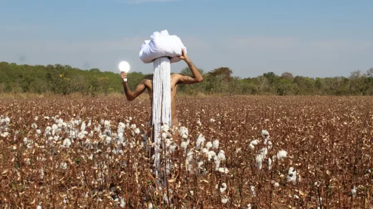 Festival Internacional Imaginários Urbanos traz a performance como instrumento de reflexão sobre corpo e território
