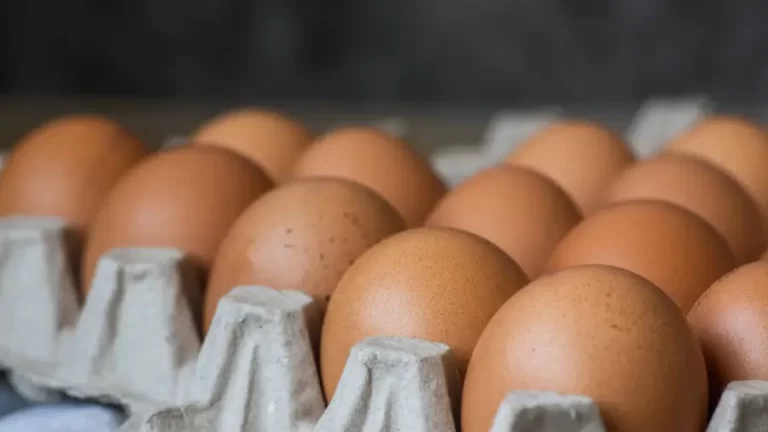 Frango e Ovos: Proteínas poderosas, acessíveis e indispensáveis na mesa do consumidor