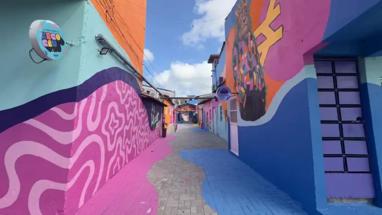 Favela nas redes sociais: Instituto Pensando Bem leva comunidade para as redes e soma 3,6 milhões de visualizações