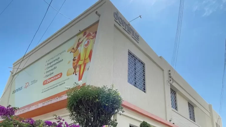 Grupo Dominus Reforça a Importância da Auditoria Interna para Aperfeiçoamento Contínuo e Conformidade