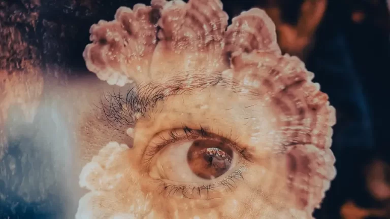 Museu da Cultura Cearense recebe exposição que discute a inseparabilidade de corpo e natureza