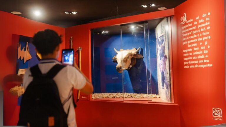 Centro Dragão do Mar realiza atividades gratuitas entre os dias 19 e 22 de junho