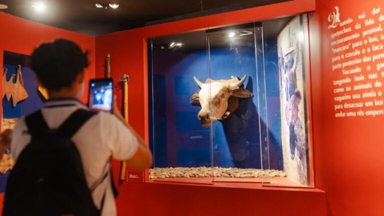 Dragão do Mar oferece shows, cinema e atividades infantis de 24 a 29 de junho