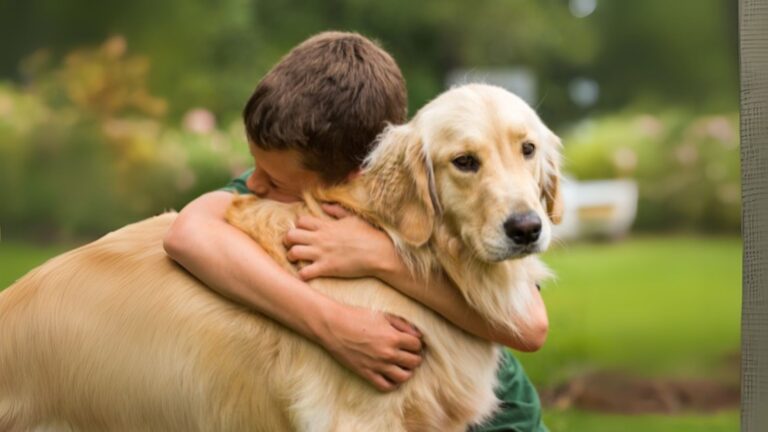 Luto infantil: especialistas orientam como lidar com a perda de um animal de estimação