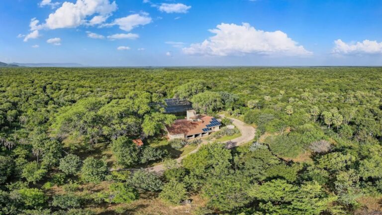 Nova fase do “No Clima da Caatinga” prevê ações ambientais e sociais no semiárido