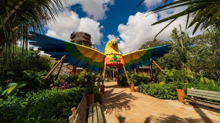 Promoção “Residentes do Ceará” garante desconto no Aqua Park e Arvorar