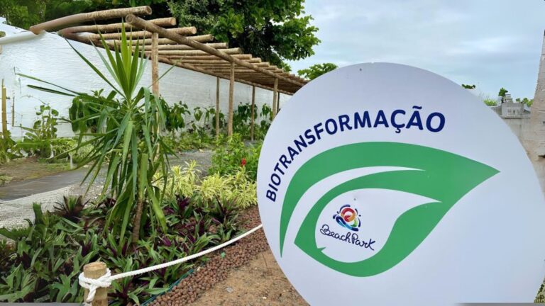 Jornada Sustentável do Beach Park inclui visitas, horta escolar e Clean Up Day