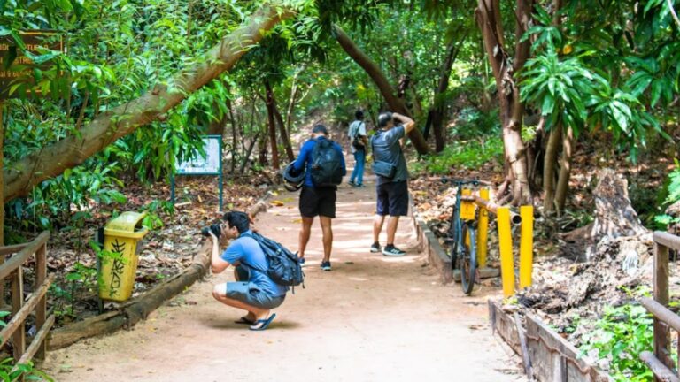 Museu da Fotografia Fortaleza promove curso e oficinas em Guaramiranga