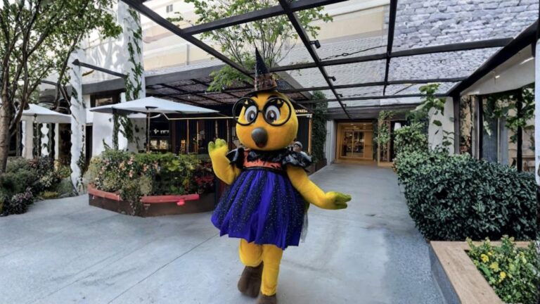 Halloween da Zoe promete diversão e fantasia no North Shopping Fortaleza