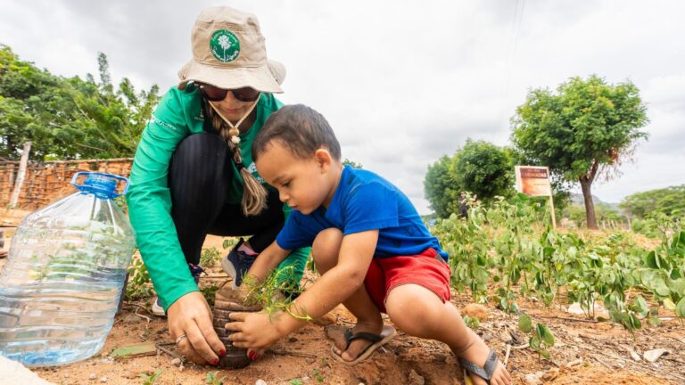 COP 30: Ceará destaca importância da Caatinga para o equilíbrio climático global