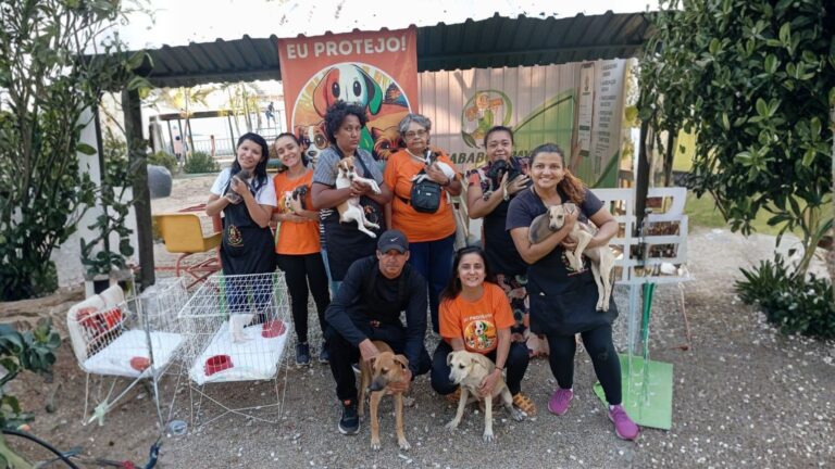 Feira & Festa da Madeireira Geovane incentiva adoção responsável em Fortaleza