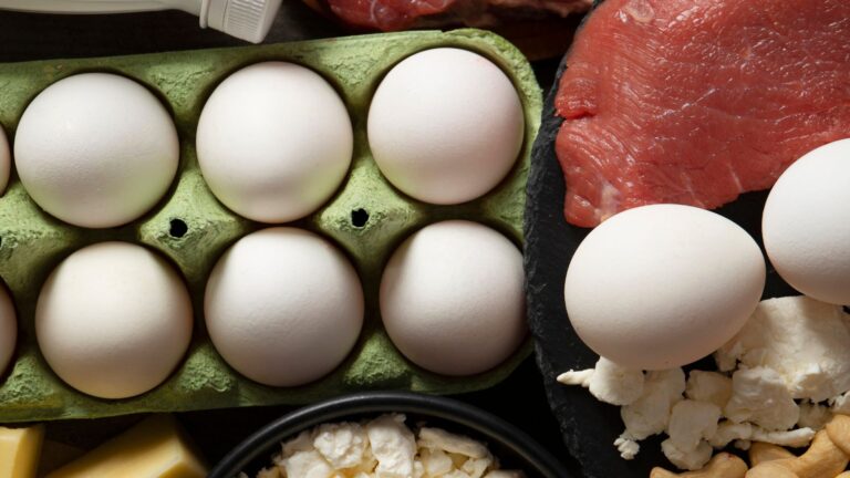 Segurança alimentar: saiba como armazenar e preparar carnes e ovos