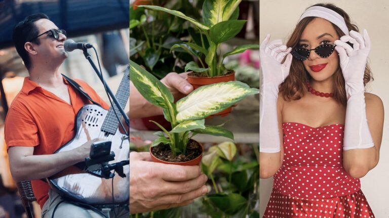 Música, feira de plantas e oficinas marcam fim de semana no Grand Shopping