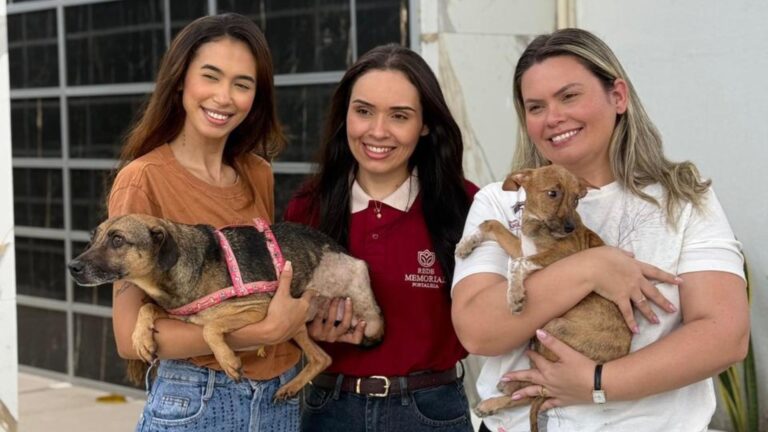 Shopping Parangaba recebe ação de adoção de cães e gatos em Fortaleza
