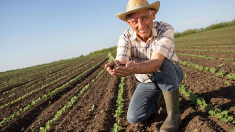 Tecnologia e qualificação transformam perfil do trabalhador rural no Brasil