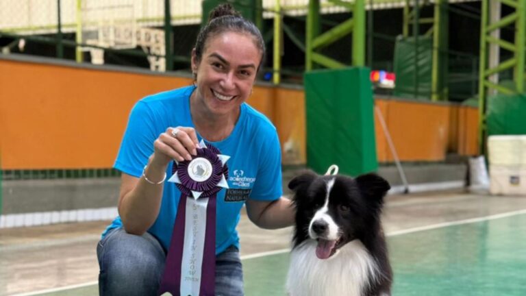 Border Collies do Grupo Aconchego participam de exposição em Campina Grande