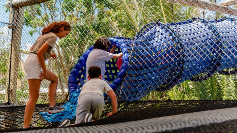 Parque Arvorar promove programação especial com natureza e diversão em maio